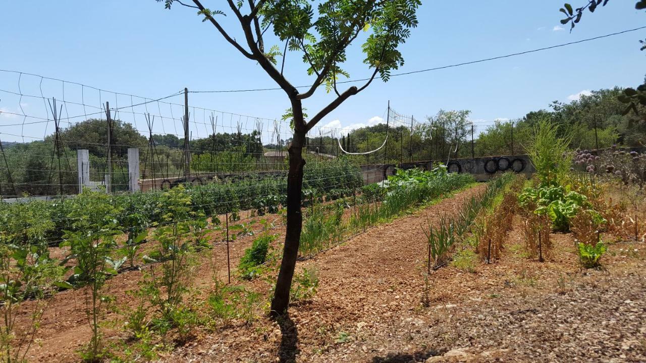 Finca Sa Cova De Mallorca Sencelles Exterior photo