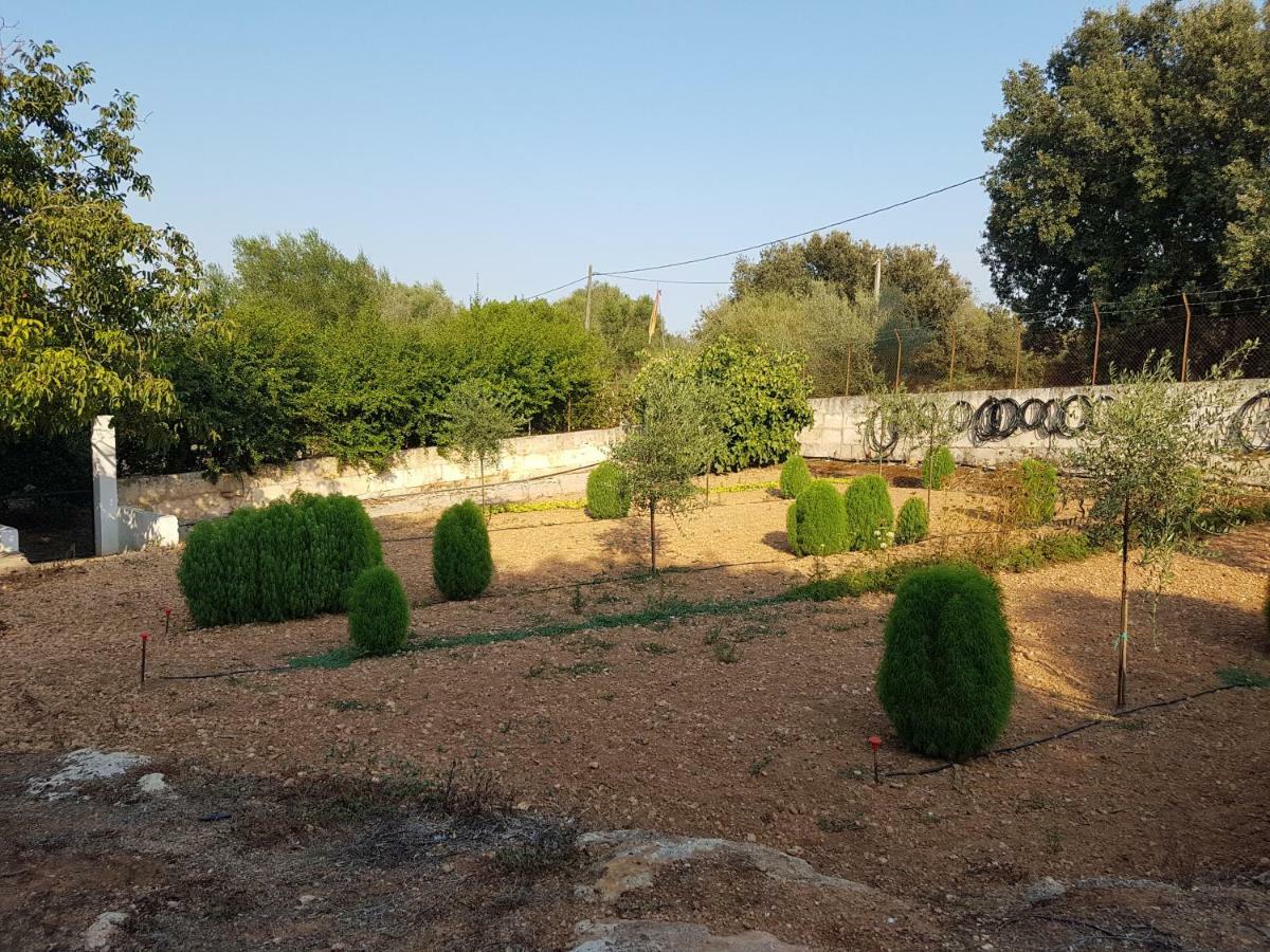 Finca Sa Cova De Mallorca Sencelles Exterior photo