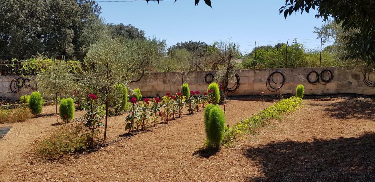 Finca Sa Cova De Mallorca Sencelles Exterior photo